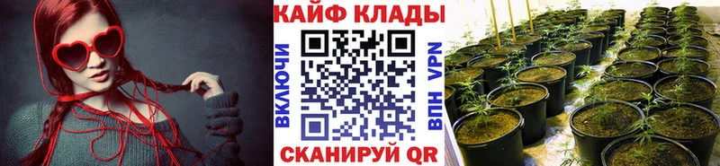 Купить закладку Галлюциногенные грибы  COCAIN  Гашиш  Alpha-PVP  Меф  Бошки Шишки  Черемхово