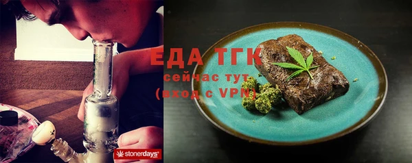 сатива Новозыбков