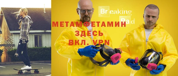 сатива Новозыбков