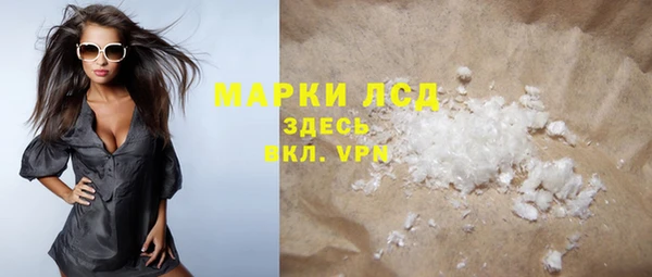 сатива Новозыбков