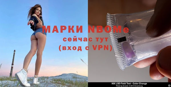 хмурый Няндома