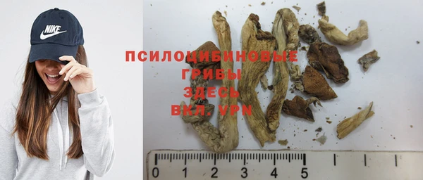 меф Новодвинск