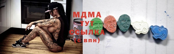 хмурый Няндома