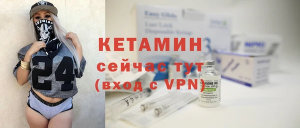 хмурый Няндома