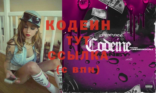 сатива Новозыбков