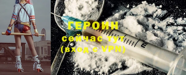 сатива Новозыбков