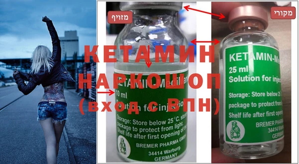 сатива Новозыбков