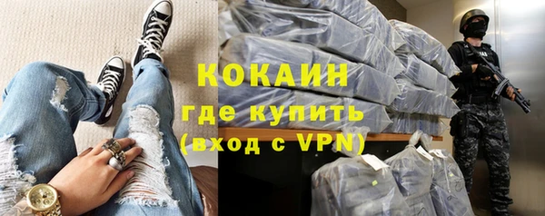 сатива Новозыбков