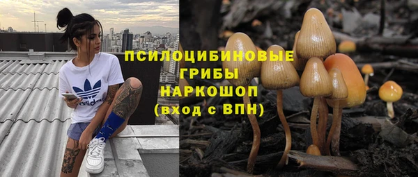 mdpv Нязепетровск