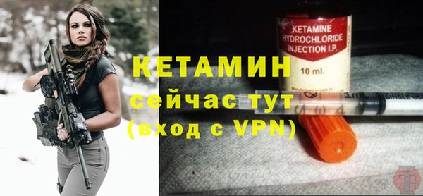 сатива Новозыбков