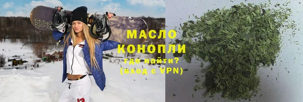 хмурый Няндома