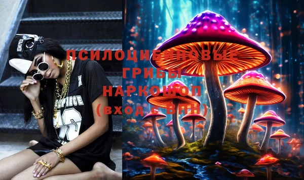 меф Новодвинск