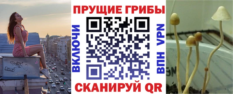 Галлюциногенные грибы мухоморы  Купить где  Черемхово 